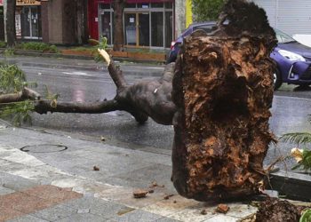 Khanun Tayfununda yaralı sayısı artıyor