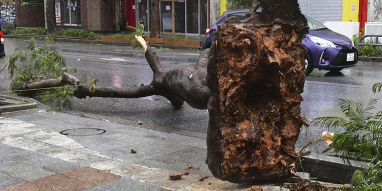 Khanun Tayfununda yaralı sayısı artıyor