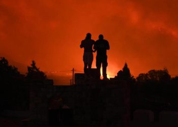 Komşu orman yangınları ile çaba ediyor! 18 kişinin cansız vücuduna ulaşıldı