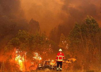 Portekiz orman yangınları ile uğraş ediyor…