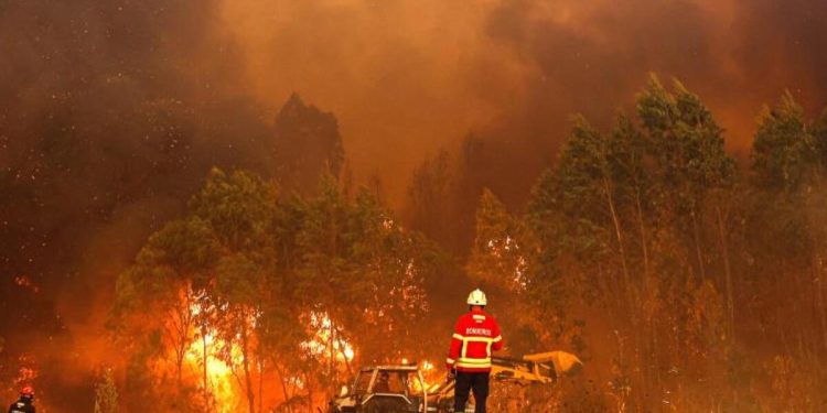 Portekiz orman yangınları ile uğraş ediyor…