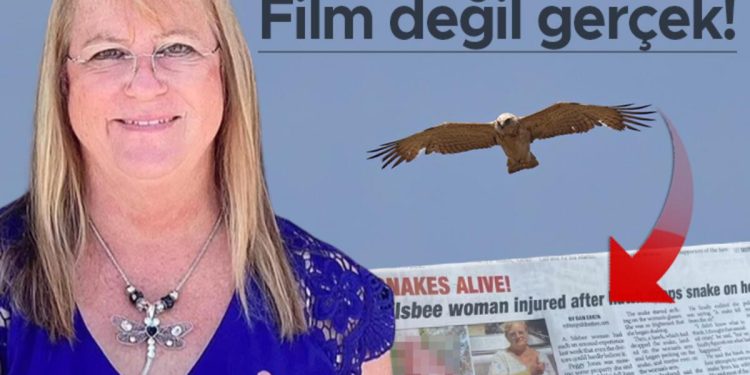 Sinema değil gerçek: Şahinin taşıdığı yılan gökten başına düştü! Evvel yılan, sonra şahin saldırdı…