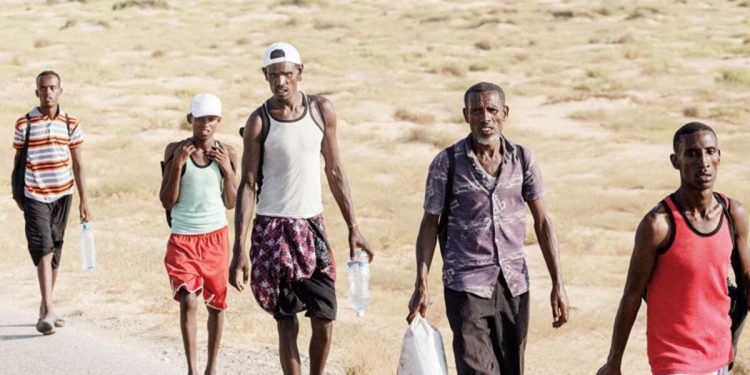 Suudi hudut muhafızları hakkında çarpıcı rapor: Göçmenlere ateş açmışlar