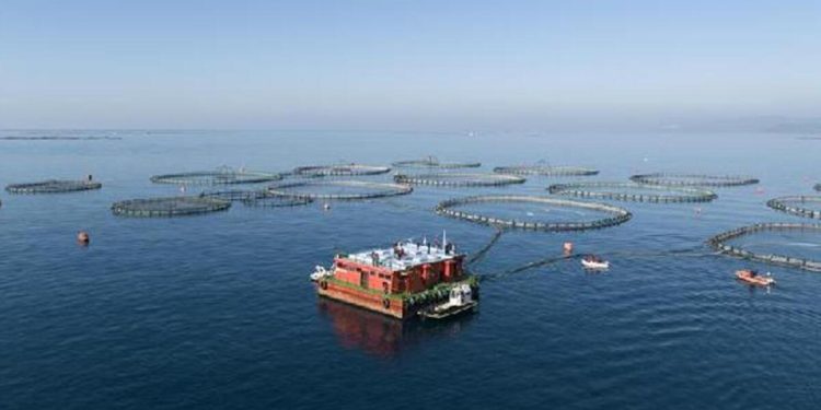 Tarım ve Orman Bakanlığı’ndan yasa dışı avcılık kontrolü