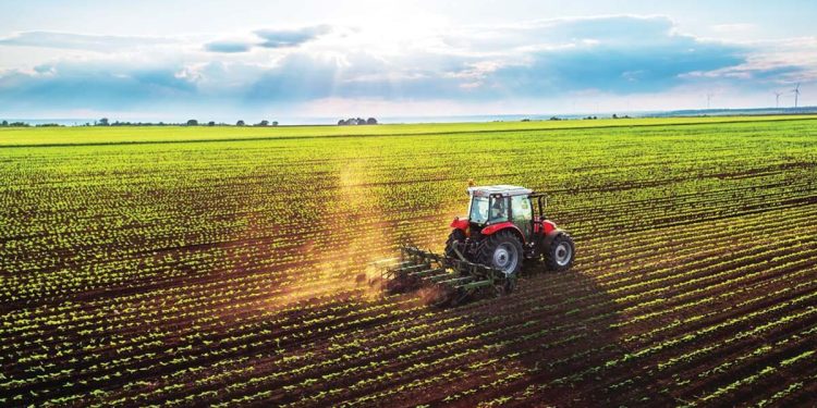 Tarımda büyümeye odaklandı… İş Bankası teknolojiyi ve finansı bir ortaya getiren yaklaşımıyla tarıma olan takviyesini sürdürüyor