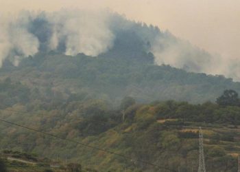 Tenerife Adası’ndaki orman yangını kasıtlı olarak çıkarılmış
