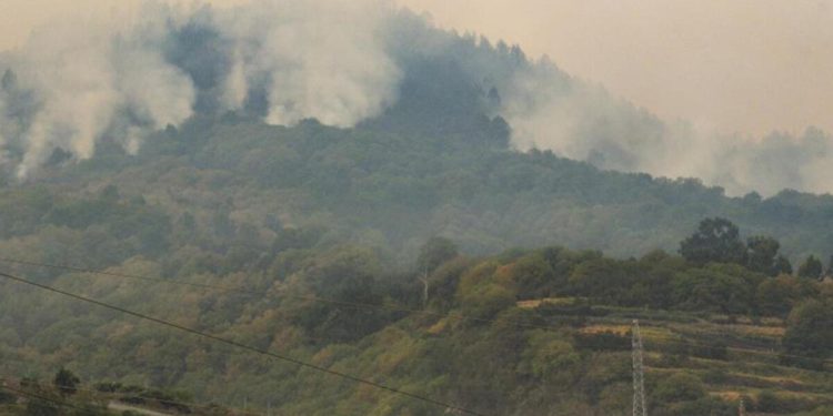 Tenerife Adası’ndaki orman yangını kasıtlı olarak çıkarılmış