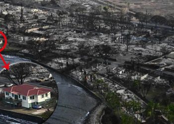 Toplumsal medyanın konuştuğu kare! Küle dönen kasabada yalnızca o kurtuldu…