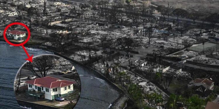 Toplumsal medyanın konuştuğu kare! Küle dönen kasabada yalnızca o kurtuldu…