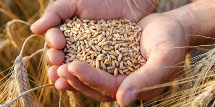 Ukrayna tahıl ihracatı için Hırvatistan ile anlaştı!