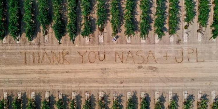Üzüm bağlarındaki hastalık için NASA devreye girdi