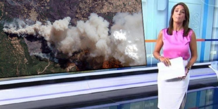 Yunan televizyonunda insanlık ayıbı: 18 göçmen dışında hiçbir insanımızı kaybetmedik