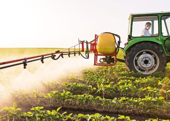 Ziraî girdi fiyat endeksinde artış