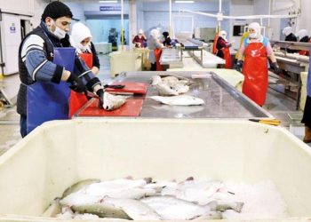 103 ülkeye Türk somonu