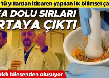 1800’lü yıllardan itibaren yapılan birinci bilimsel çalışma: Şifa dolu sırları ortaya çıktı