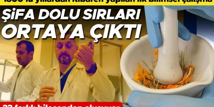 1800’lü yıllardan itibaren yapılan birinci bilimsel çalışma: Şifa dolu sırları ortaya çıktı