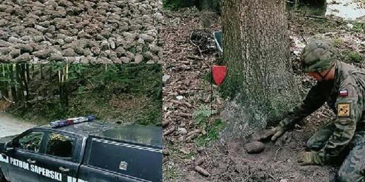 2. Dünya Savaşı’ndan kalan patlamamış 1300 mühimmat bulundu