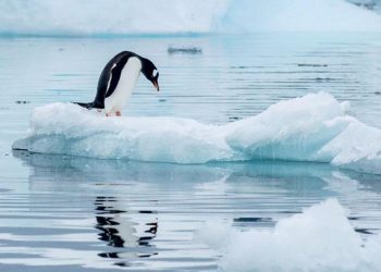 44 yılın en düşük düzeyinde