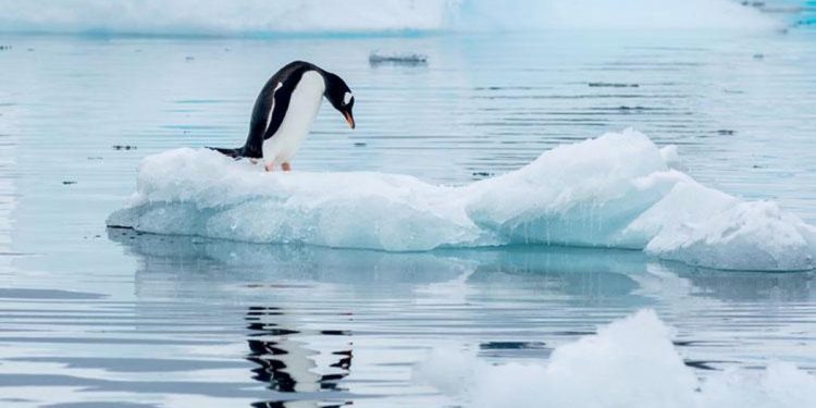 44 yılın en düşük düzeyinde