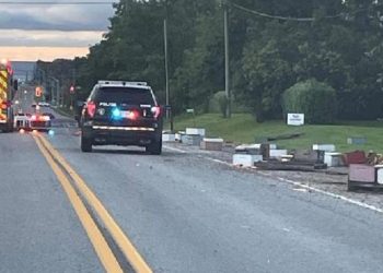 5 milyon arıyı taşıyan kamyon kaza yaptı, arılar özgür kaldı