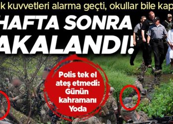ABD alarma geçmişti, okullar bile kapatılmıştı…2 haftadır her yerde aranan katili kahraman köpek Yoda yakaladı!