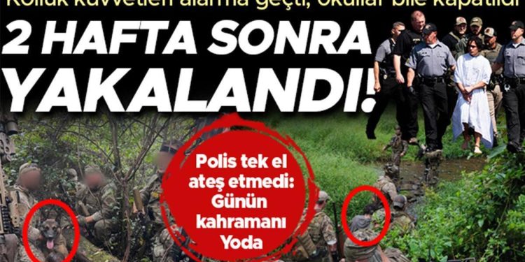 ABD alarma geçmişti, okullar bile kapatılmıştı…2 haftadır her yerde aranan katili kahraman köpek Yoda yakaladı!