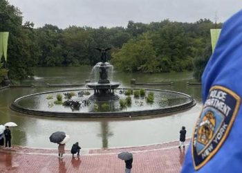 ABD’de şiddetli yağışlar: Deniz aslanı su baskınında parktan kaçtı