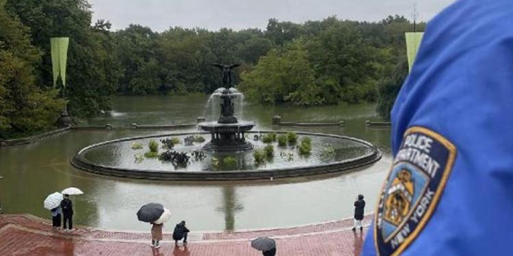 ABD’de şiddetli yağışlar: Deniz aslanı su baskınında parktan kaçtı