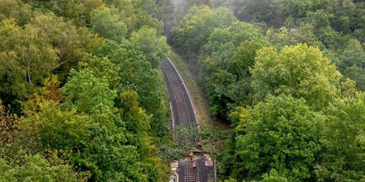 Almanya’da şiddetli fırtına