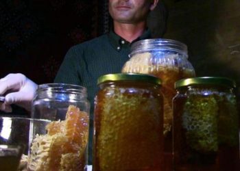 Anzer balına rakip Macahel balı