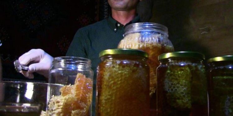 Anzer balına rakip Macahel balı