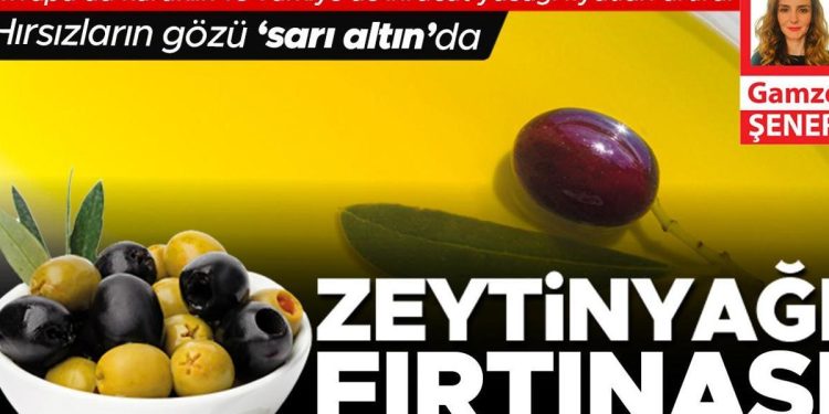 Avrupa’da kuraklık ve Türkiye’de ihracat yasağı fiyatları artırdı hırsızların gözü ‘sıvı altın’da: Zeytinyağı fırtınası