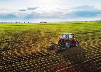 Bakanlık duyurdu! Müracaatlar 1 Eylül’de başlıyor