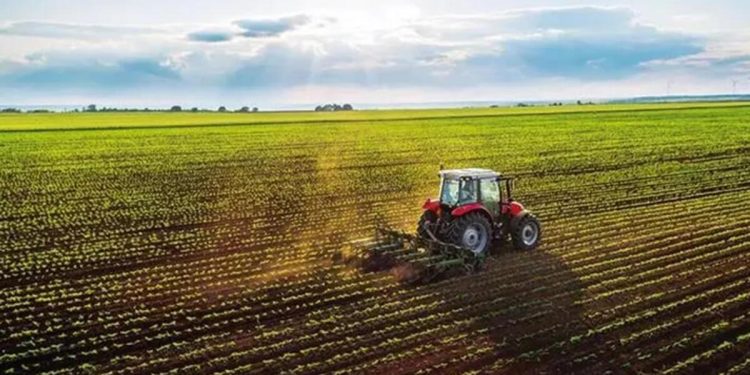 Bakanlık duyurdu! Müracaatlar 1 Eylül’de başlıyor