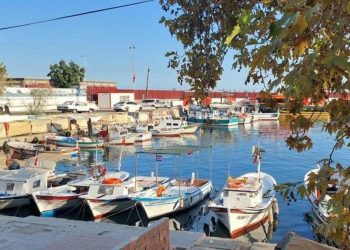 Balıkçılar Karadeniz’e açılıyor