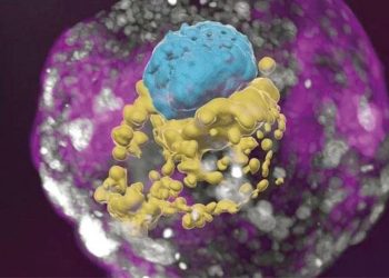 Biliminsanları yapay embriyo üretti