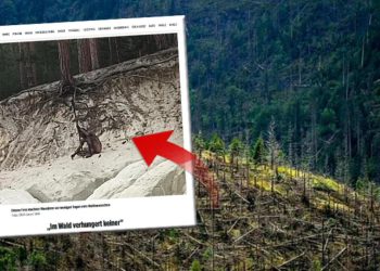 Birinci kere görüntülendi! Almanya dağlarında yaşayan gizemli kurt adam