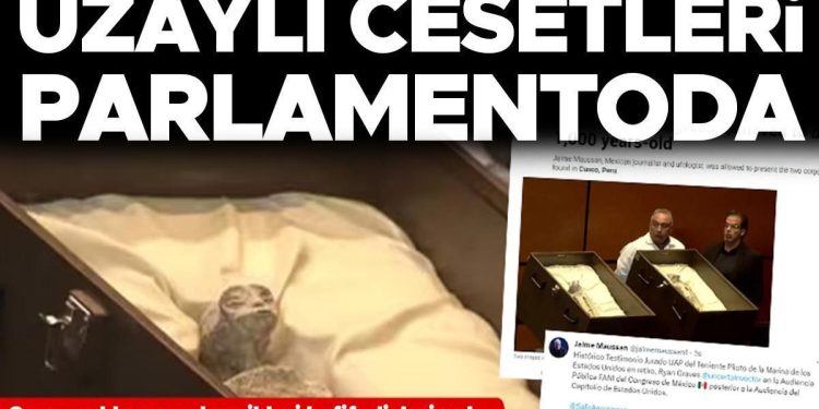Bu bir dönüm noktası: Uzaylı cesetleri parlamentoda sergilendi! 3 parmakları var, kemikleri hafif, dişleri yok…