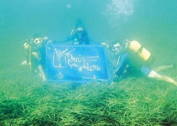 Deniz çayırlarına muhafaza kalkanı