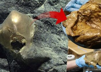 Denizin altında bulunan gizemli küre araştırmacıları şoke etti: Bu bir endişe sinemasının başlangıcı üzere