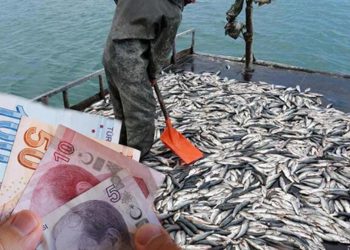 Depremzedelere balıkçı dayanağı ne vakit yatacak, ne kadar? Cumhurbaşkanı Erdoğan’dan açıklama!