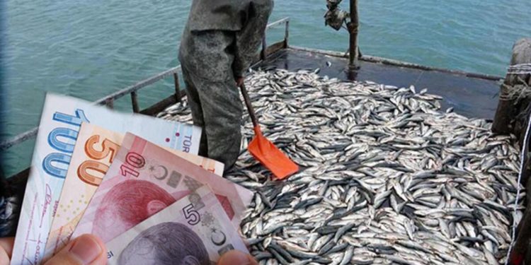 Depremzedelere balıkçı dayanağı ne vakit yatacak, ne kadar? Cumhurbaşkanı Erdoğan’dan açıklama!