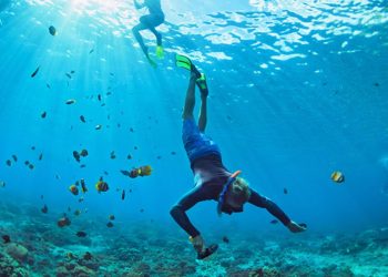 Derinlerden gelen alarm zilleri: Okyanusların sesi bize ne anlatıyor?