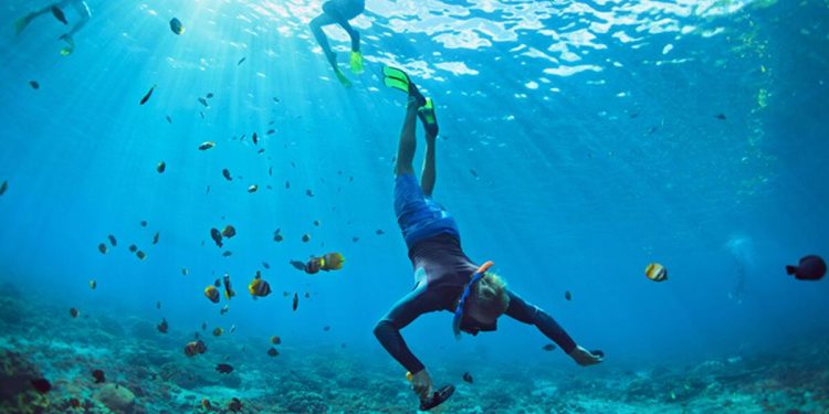 Derinlerden gelen alarm zilleri: Okyanusların sesi bize ne anlatıyor?