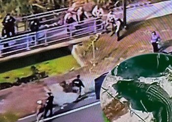 Devasa timsah ağzında cansız bir adamın vücudu ile Florida sokaklarında gezdi