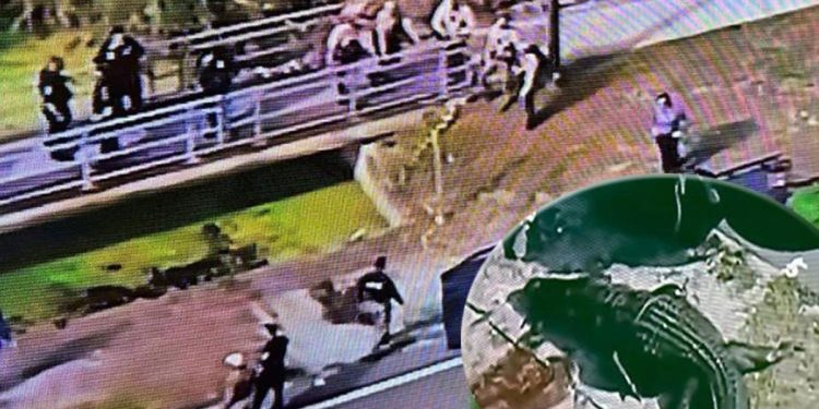 Devasa timsah ağzında cansız bir adamın vücudu ile Florida sokaklarında gezdi