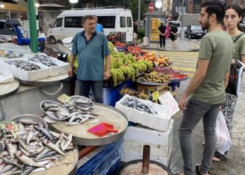 Dönemin birinci istavritleri, 100 liradan tezgahta