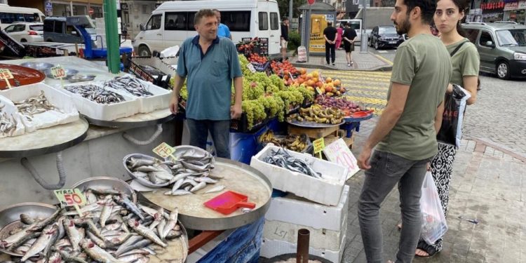Dönemin birinci istavritleri, 100 liradan tezgahta
