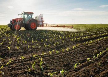 Gübrede grev tesiri fiyatlara yansıyor