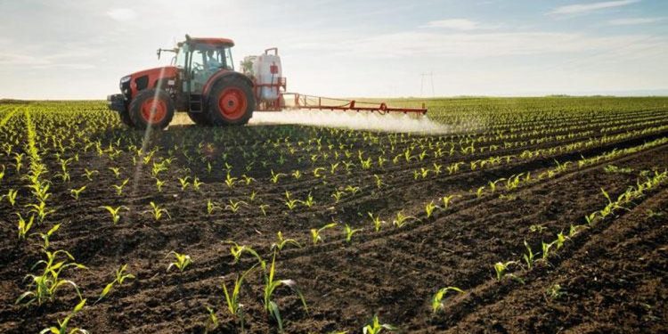 Gübrede grev tesiri fiyatlara yansıyor